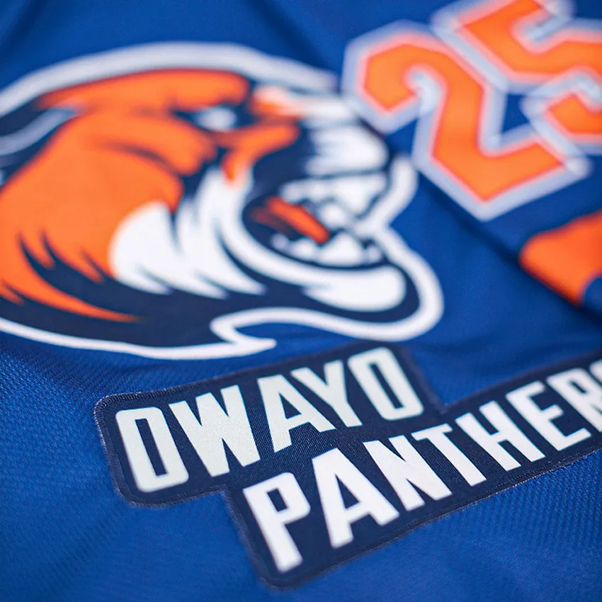 Acercamiento de una camiseta deportiva azul con un logo de tigre y el número 25.