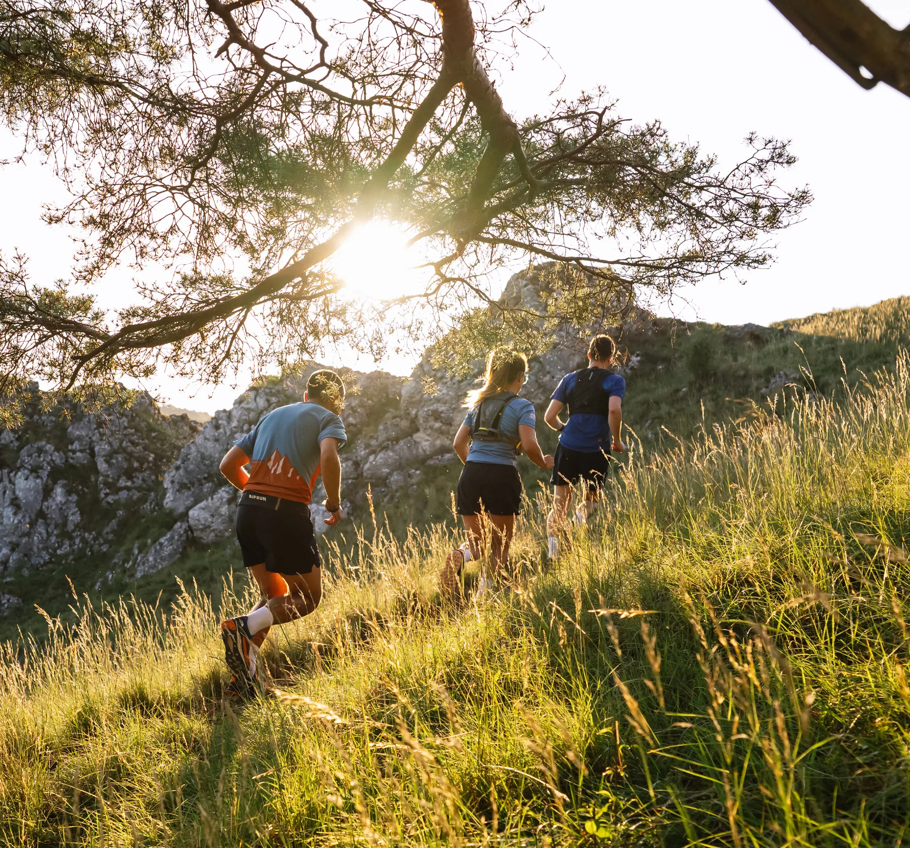 Tres corredores con ropa deportiva corren por una colina boscosa mientras el sol se eleva detrás de ellos.